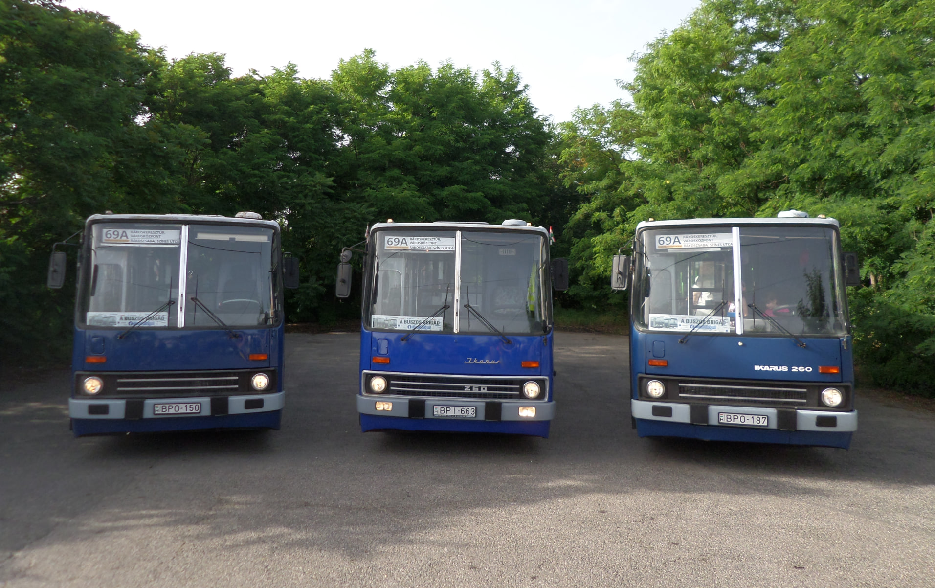 Old Ikarus buses